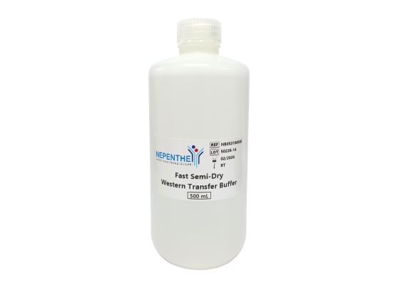 fast semi-dry western transfer buffer